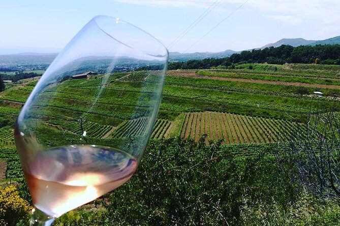 Grand Wine Tour From Catania or Taormina - Pickup and Accessibility
