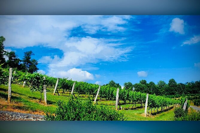 Grandfather Mountain Private Wine & Dine Tour From Asheville - Pricing and Booking Information
