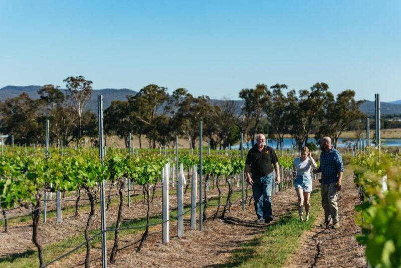 Granite Belt: Winemakers Winetasting Experience & Cheese - Winemaking and Wine Characteristics