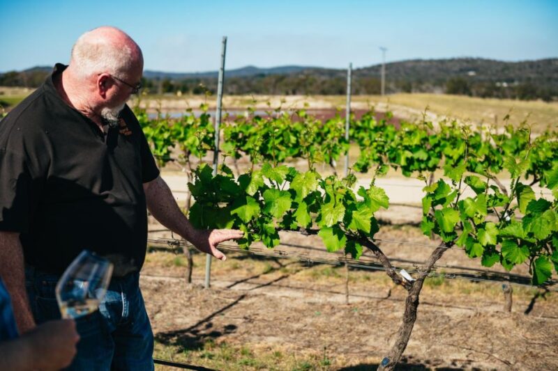 Granite Belt: Winemakers Winetasting Experience & Cheese - Gourmet Cheese Pairing