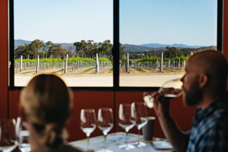 Granite Belt: Winemakers Winetasting Experience & Cheese - Accessibility and Flexibility