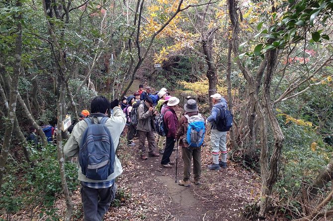 Granite Obelisk in Yakushima Full-Day Trekking Tour - Trekking Through Lush Rainforests