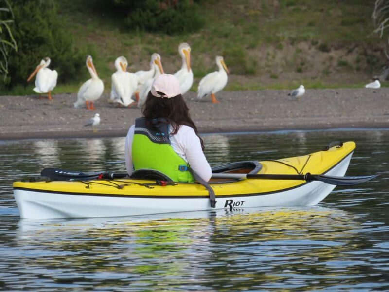 Grant Village: Yellowstone Lake Guided Kayak Tour with Lunch - An Honest Look at the Experience