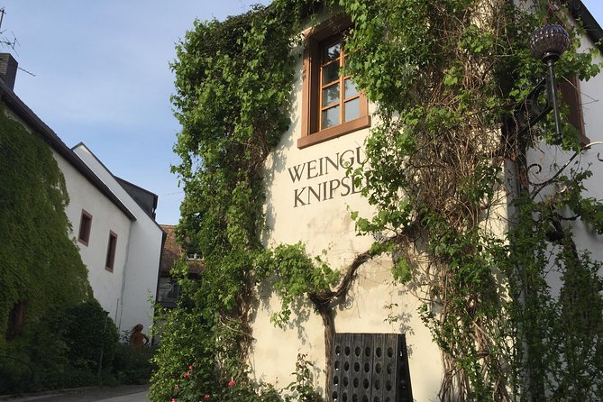 Grape Day Out Pfalz to Taste Cracking Red Wines & Riesling - Quick Points