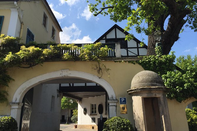 Grape Day Out Pfalz to Taste Cracking Red Wines & Riesling - Tasting Pfalzs Renowned Red Wines