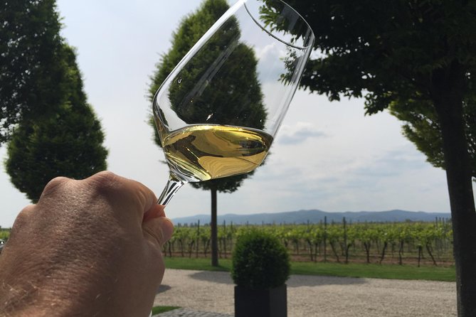 Grape Day Out Pfalz to Taste Cracking Red Wines & Riesling - Highlights and Positive Traveler Feedback