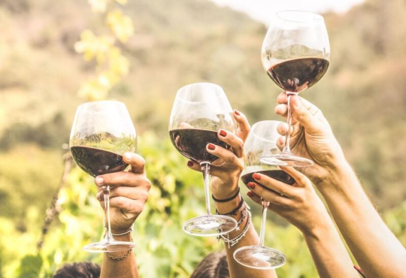 Grape Escapes Full-Day Wine Tour in Ithaca - Key Points