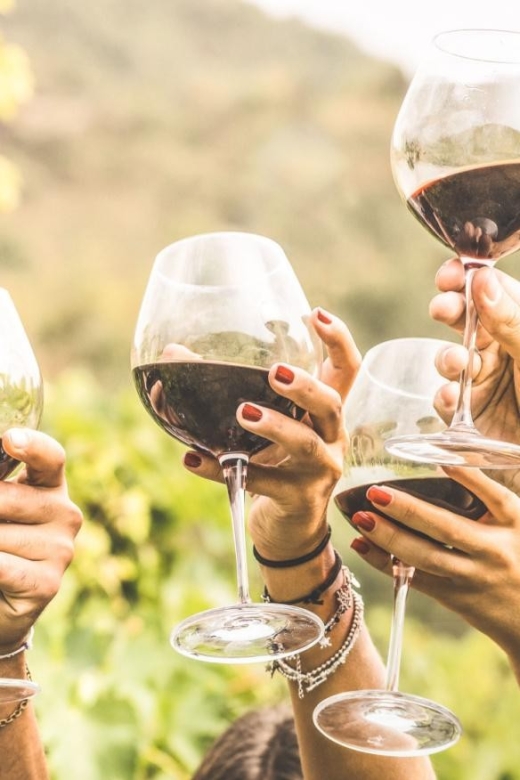 Grape Escapes Full-Day Wine Tour in Ithaca - Itinerary and Locations