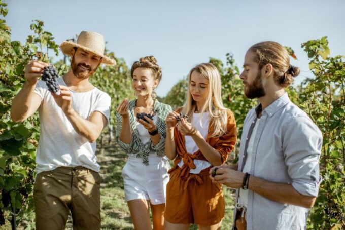 Grape Escapes Full-Day Wine Tour in Ithaca - Booking and Availability