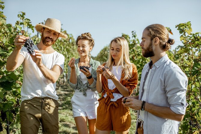 Grape Escapes Wine Full-Day Tour in Ithaca - Accessibility and Participation