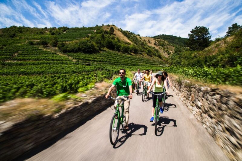 Grape Grazing: Wachau Valley Winery Biking Tour - Biking Through the Wachau Valley