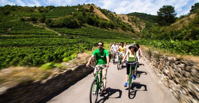 Grape Grazing: Wachau Valley Winery Biking Tour - Visiting the Wineries