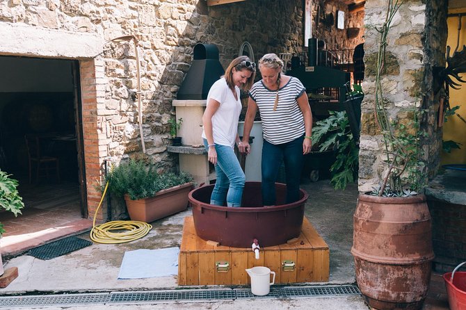Grape Stomping in Chianti Tuscan Farmhouse From Siena - Key Points