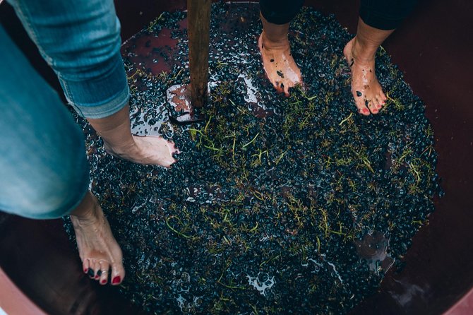 Grape Stomping in Chianti Tuscan Farmhouse From Siena - Booking Confirmation