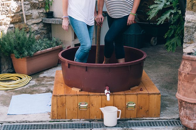 Grape Stomping in Chianti Tuscan Farmhouse From Siena - Who Can Participate