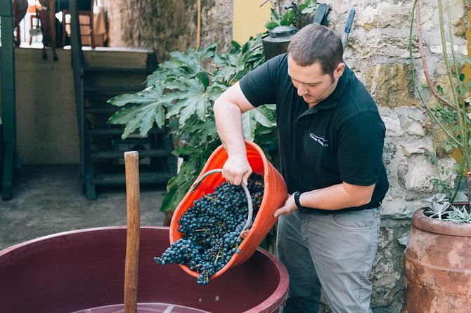 Grape Stomping in Chianti Tuscan Farmhouse From Siena - Frequently Asked Questions