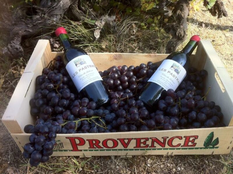 Grape Stomping in Provence - Customer Feedback and Ratings