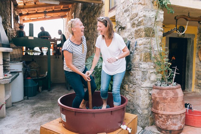 Grape Stomping in Tuscan Farmhouse - Key Points