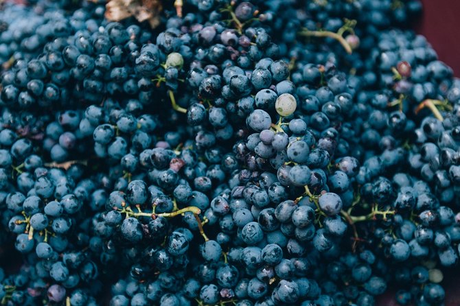 Grape Stomping in Tuscan Farmhouse - Savor Homemade Tuscan Lunch