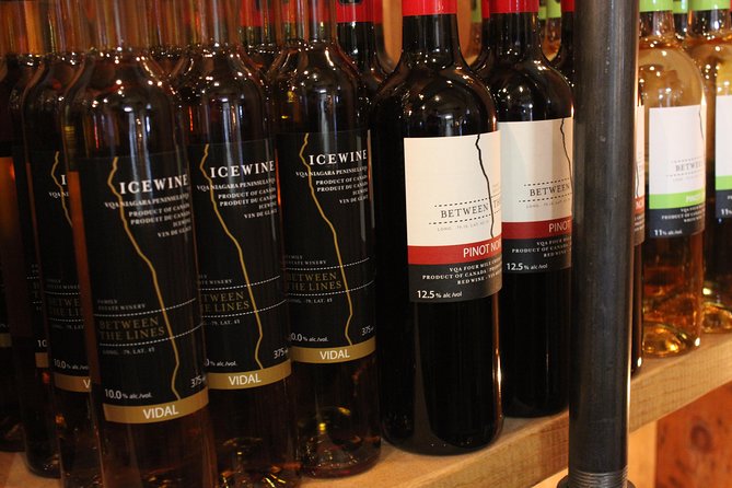 Grape to Glass Wine Experience - The Winemaking Process
