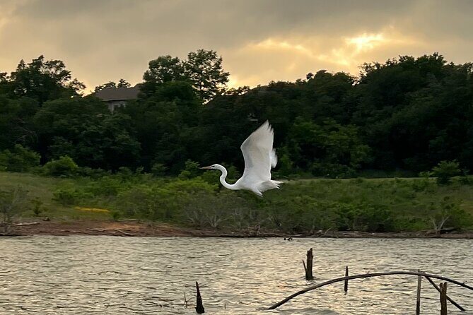 Grapevine Lake Kayak Eco Tour - Key Points