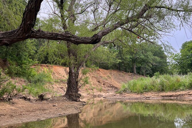 Grapevine Lake Kayak Eco Tour - What Past Participants Say