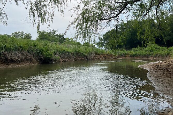 Grapevine Lake Kayak Eco Tour - Practical Tips for Your Trip