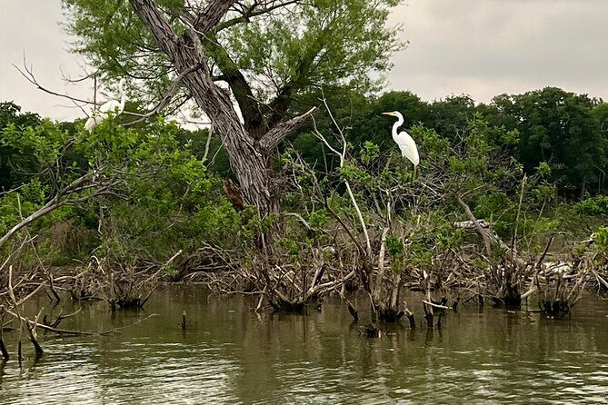 Grapevine Lake Kayak Eco Tour - The Sum Up