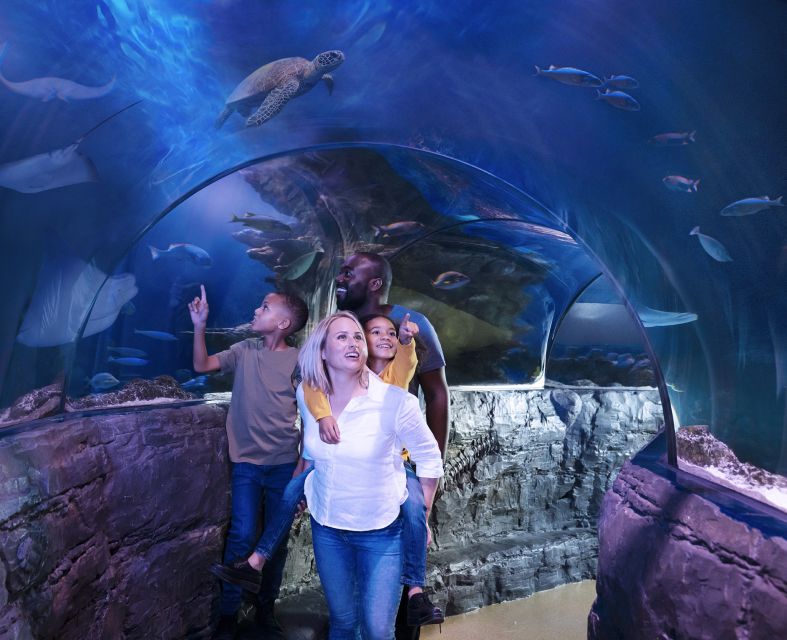 Grapevine: SEA LIFE Grapevine Aquarium General Admission - Aquarium Exhibits and Attractions