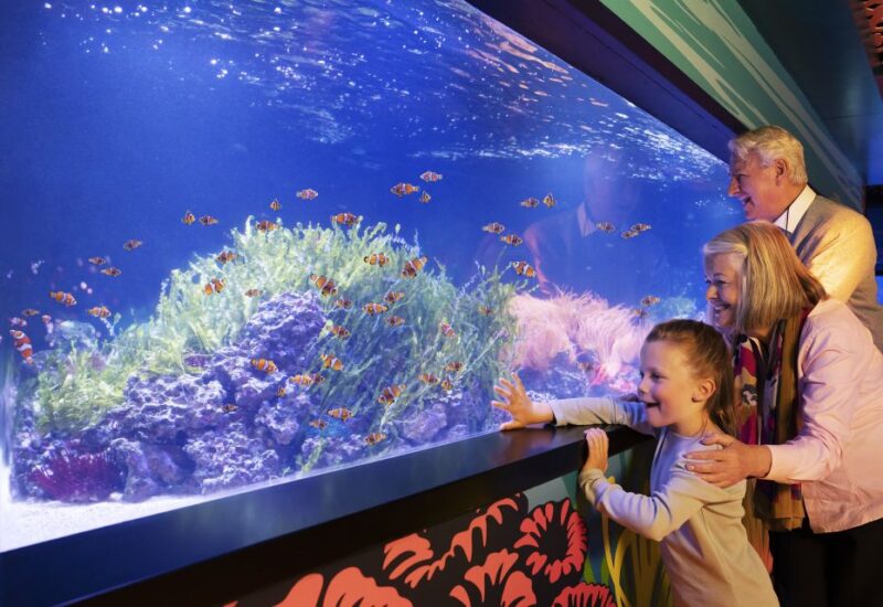 Grapevine: SEA LIFE Grapevine Aquarium General Admission - Health and Safety Protocols