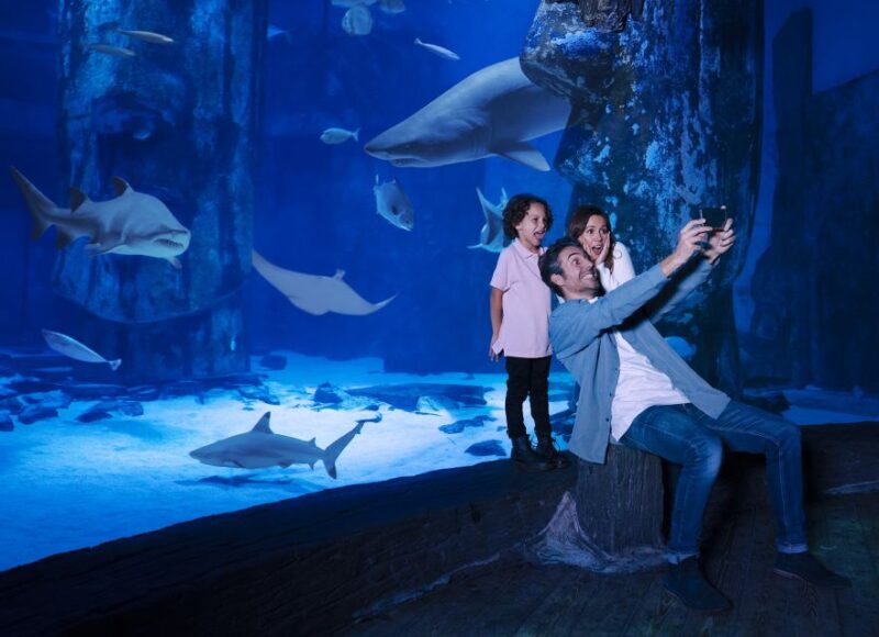 Grapevine: SEA LIFE Grapevine Aquarium General Admission - Customer Reviews and Feedback