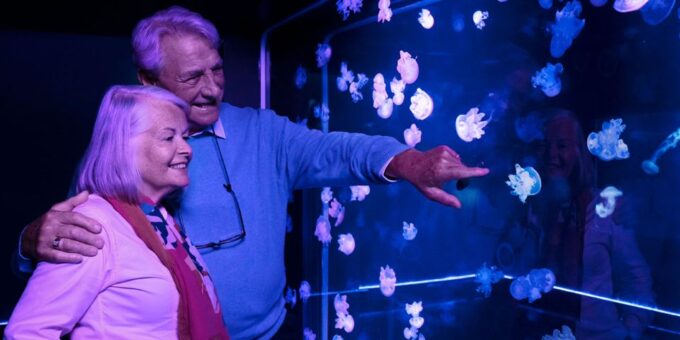 Grapevine: SEA LIFE Grapevine Aquarium General Admission - Getting to the Aquarium