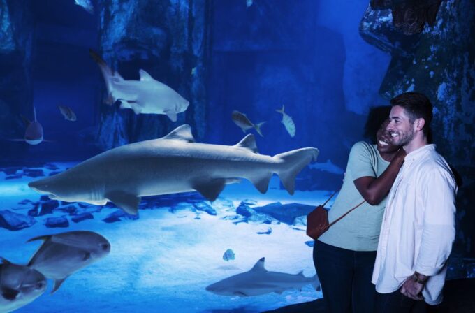 Grapevine: SEA LIFE Grapevine Aquarium General Admission - Frequently Asked Questions