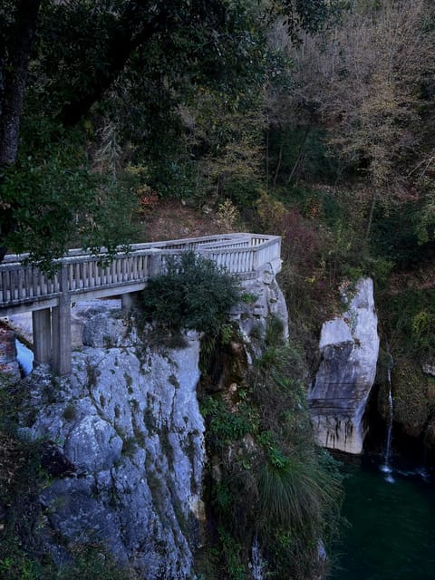 Grasse, Gourdon and Local Wine Tasting - Indulging in a Wine Tasting Experience