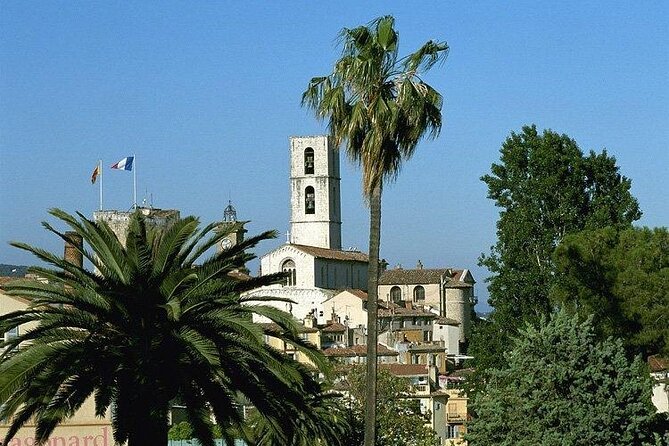 Grasse, Gourdon, Valbonne and Wine Tasting Full-Day From Cannes - Wine Tasting Near Nice