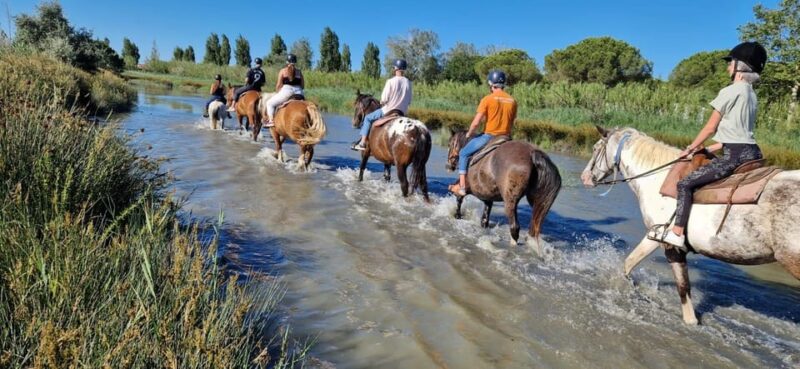 Grau Du Roi: Horseback Riding in Camargue - Safety and Regulations