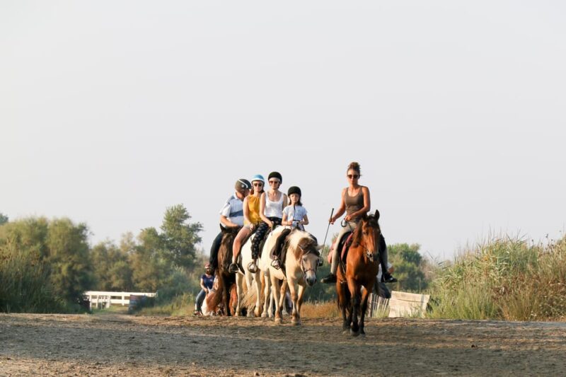 Grau Du Roi: Horseback Riding in Camargue - Experience Highlights
