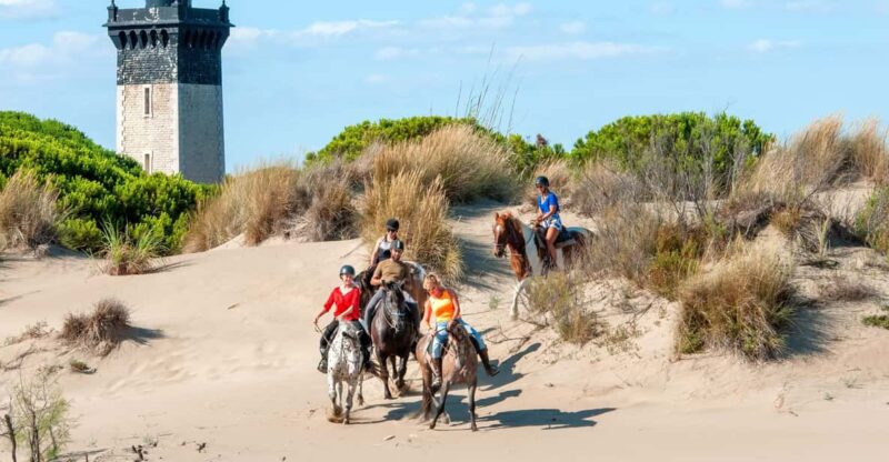 Grau Du Roi: Horseback Riding in Camargue - Prohibited Items