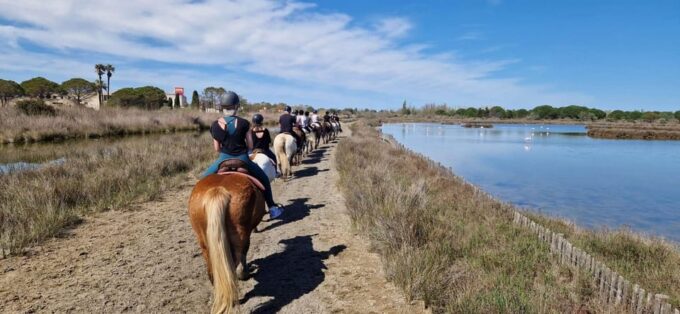 Grau Du Roi: Horseback Riding in Camargue - Explore the Camargue