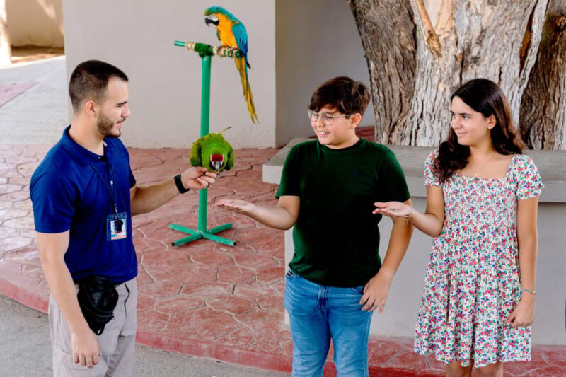Great Aquarium Mazatlan - Immersive Exhibits and Encounters