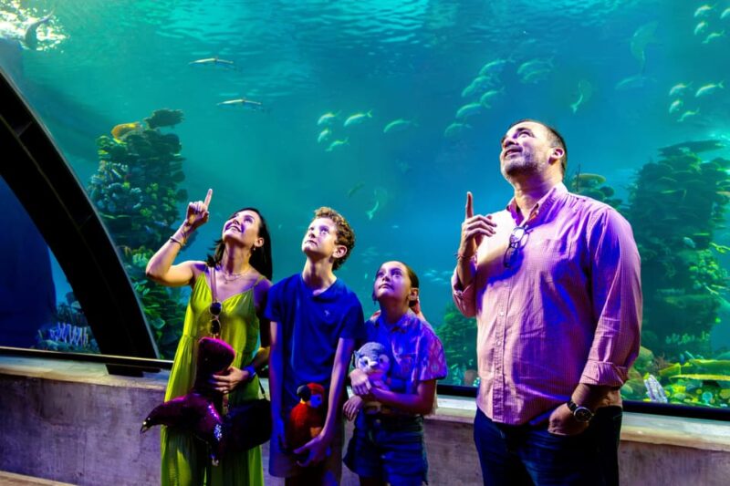Great Aquarium Mazatlan - General Visitor Information