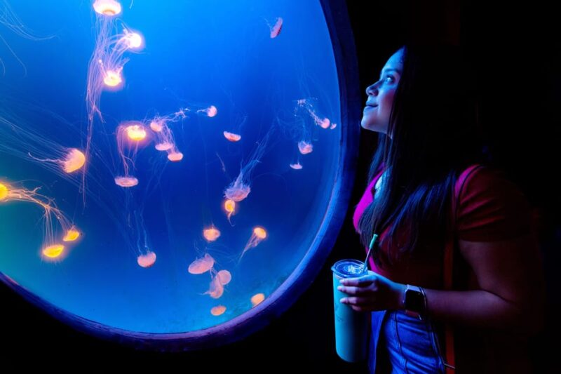 Great Aquarium Mazatlan - Customer Ratings and Feedback