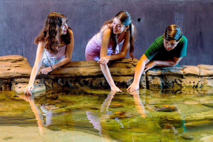 Great Aquarium Mazatlan - Frequently Asked Questions