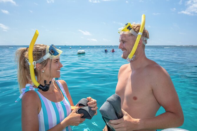 Great Barrier Reef Adventure From Cairns Including Snorkeling - Alternative Tour Recommendations