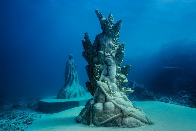 Great Barrier Reef and MOUA Snorkeling Day Tour from Townsville - Key Points