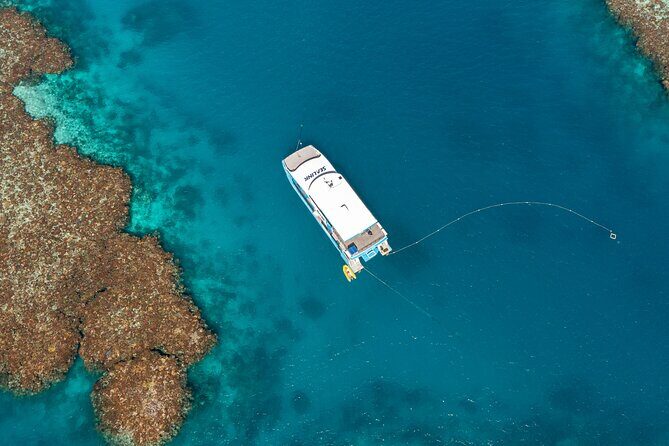 Great Barrier Reef and MOUA Snorkeling Day Tour from Townsville - An Overview of the Great Barrier Reef and MOUA Tour