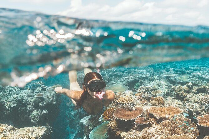 Great Barrier Reef and MOUA Snorkeling Day Tour from Townsville - The Value and Group Size