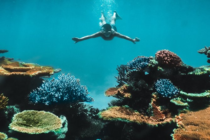 Great Barrier Reef Cruise From Townsville or Magnetic Island - Departure Points and Transportation