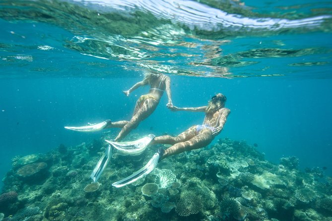 Great Barrier Reef Cruise From Townsville or Magnetic Island - Full-day Tour Schedule and Capacity