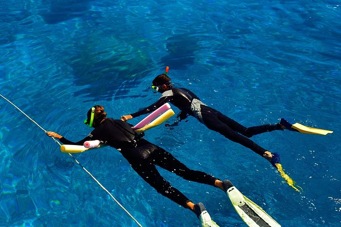 Great Barrier Reef Cruise From Townsville or Magnetic Island - Snorkeling and Diving Activities